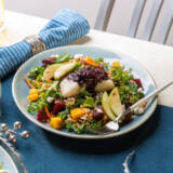 Harvest Salad with Fish and Blueberry Sauce Vertical