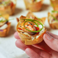 Crispy Canadian Seafood Wonton Bites Vertical